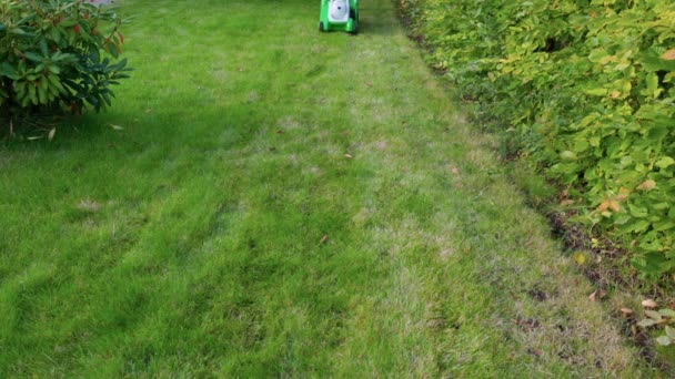 Uomo Falcia Erba Con Falciatrice Elettrica Sul Giardino Autunno Giornata — Video Stock