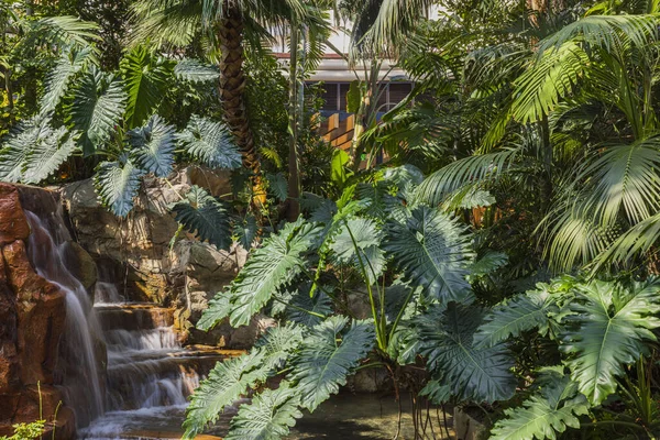 Yeşil yaprakların güzel manzarası ve arka planda küçük şelale. Güzel doğa geçmişi. Aruba. 