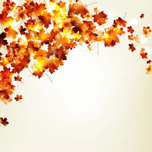 Autumn Falling Leaves — Stock Vector © adamson #4329454