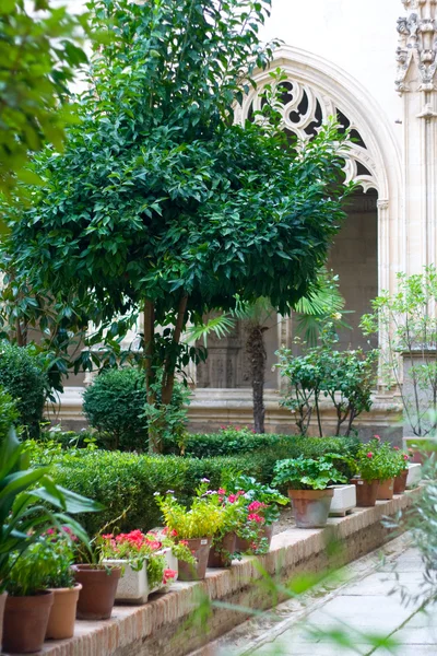 Bahçe içinde bir kilise Toledo