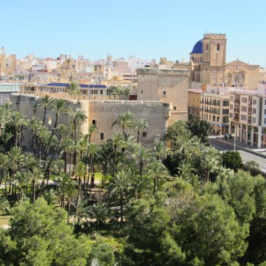 palm Grove elche