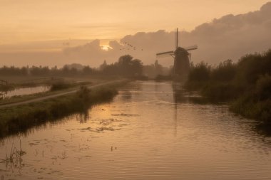Hollanda, Rietveldse 'deki Hazerswouder-Dorp yel değirmeninde, sakin ve sisli bir altın gün doğumu sabahında uçan kazlar..