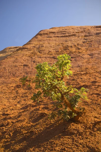 黄土色の岩 (コロラド州フランス語) rustrel (プロバンス、南 f の近く — ストック写真