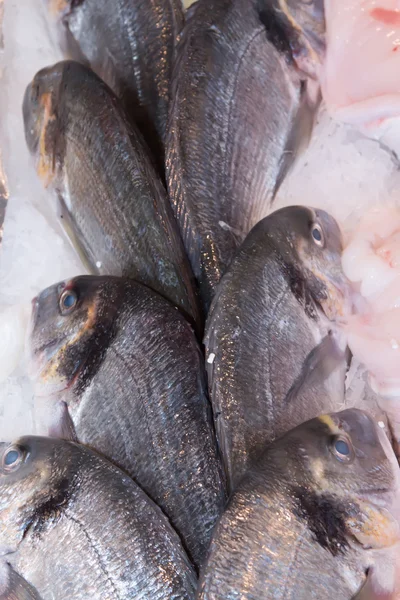新鲜的鱼海鲜市场特写背景中 — 图库照片
