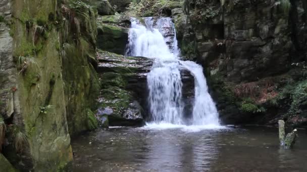 Forsande vattenfall i skogen — Stockvideo