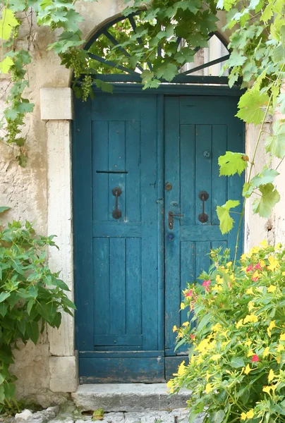 Staré modré dveře s květinami — Stock fotografie