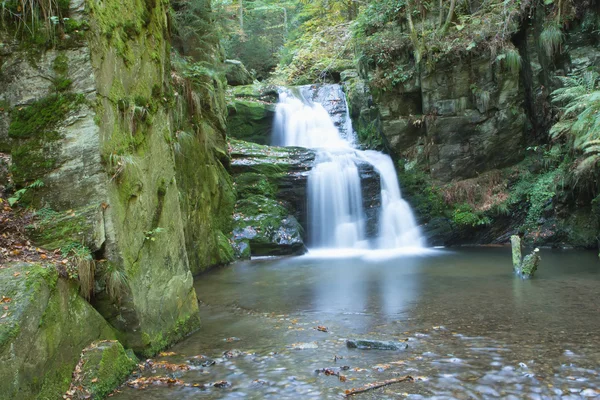 Cascada en el bosque — Foto de Stock