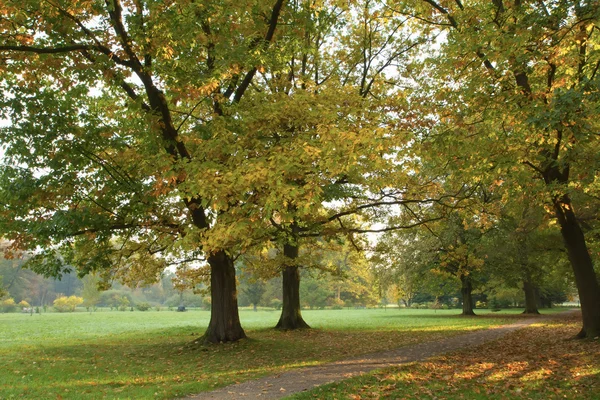 Otoño en el parque — Foto de Stock