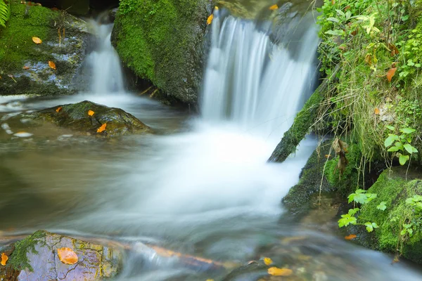 Flödesbäck i höstskogen — Stockfoto