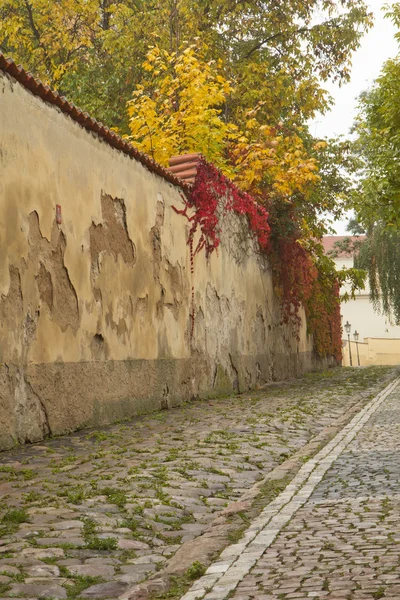 Herbstmorgen in den alten Straßen von Prag. — Stockfoto