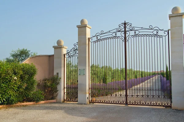 Beautiful iron gate — Stock Photo, Image