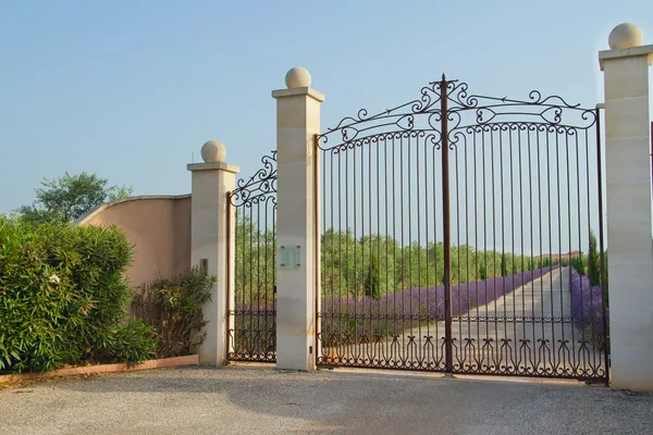 Beautiful iron gate — Stock Photo, Image