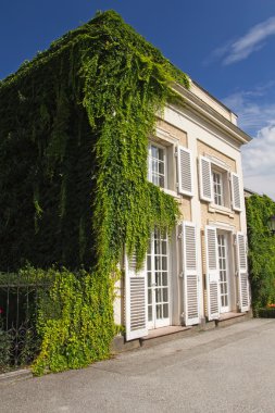 Sarmaşık ile ev