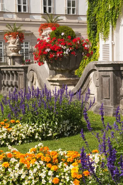 A decoração floral no jardim — Fotografia de Stock