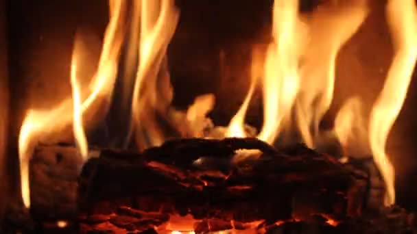 Api di perapian — Stok Video