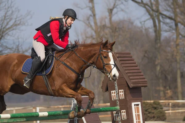 Young woman at equestrian race — Stock Photo, Image