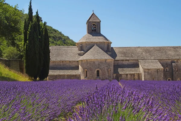Senanque Abbey (Provence, France)