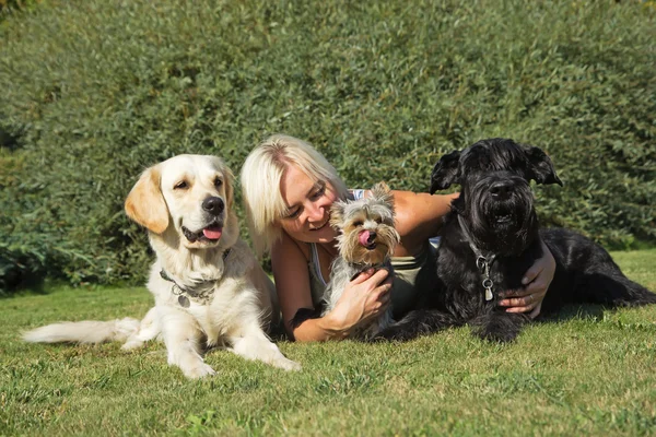 Blond woman and three dogs at the lawn. — Stock Photo, Image