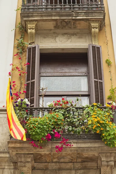 Fenêtre avec un drapeau catalan . — Photo