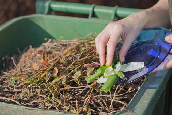 Sacking of organic waste into a green bins — Stock Photo, Image