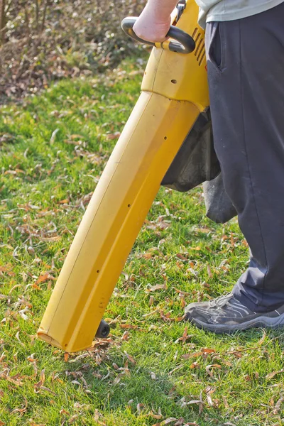 Påfrestande av elektriska leaf vakuum. — Stockfoto