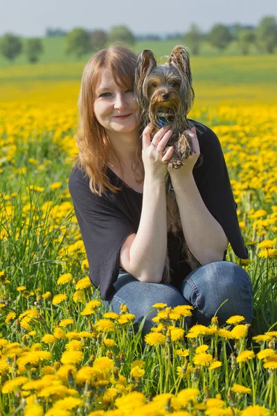 요크 셔 테리어 강아지와 함께 젊은 여성. — 스톡 사진