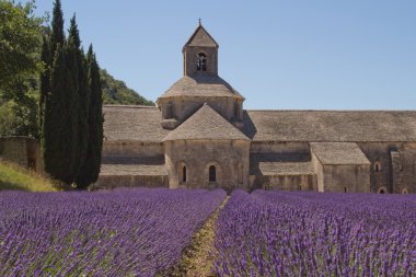 Abbey senanque (provence, Fransa)