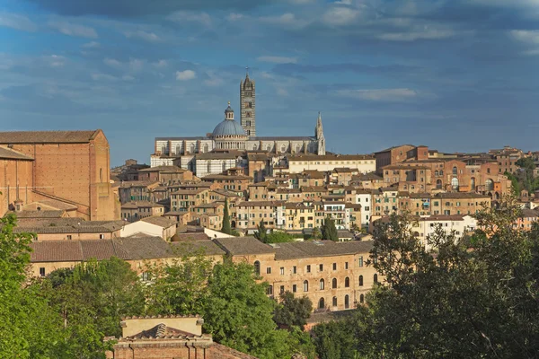 Siena (Toskana, İtalya) — Stok fotoğraf