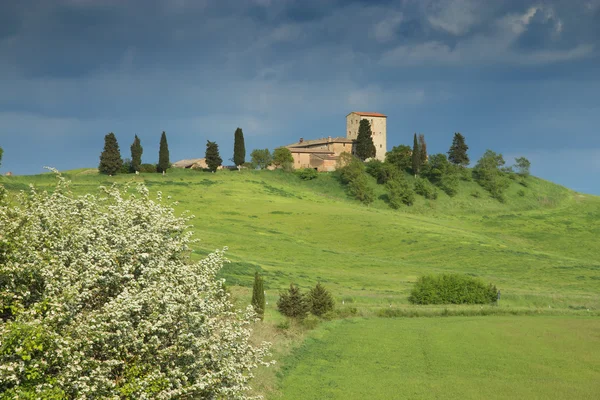 Lente in de Toscane — Stok fotoğraf