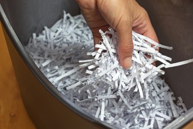 Shredder sepeti