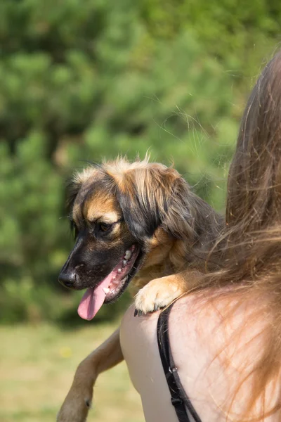 Young woman is holding a dog — Stock Photo, Image