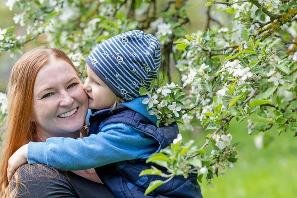 Lindo Joven Chico Besar Joven Riendo Motherunder Árbol Floreciente —  Fotos de Stock