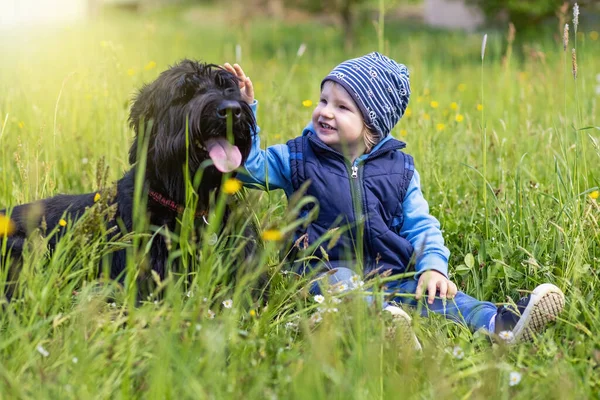 Cute Little Boy Sitting Grass Together Big Black Schnauzer Dog — Stockfoto
