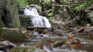 Ormandaki kayalık şelale manzarası. Şelale manzarası