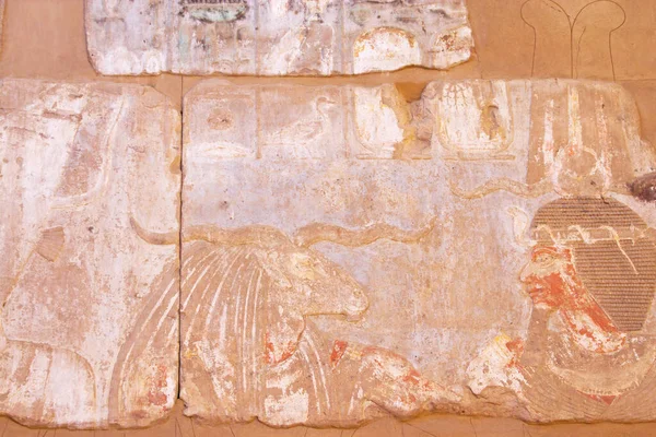 Detail Hieroglyphs Temple Satis Satet Located Nile Valley Island Elephantine – stockfoto