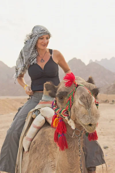 Tourist Woman Dressed Shemagh Desert Palestinian Arafat Scarf Sitting Camel — Foto de Stock