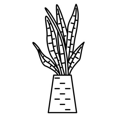 Çiçek, sulu, uzun ve dar yapraklar. Ofis için bir bitki. Vektör simgesi, özet, izole edilmiş, 48x48 piksel.