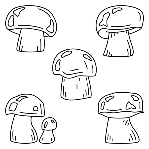 White Mushroom Porcini Edible Mushrooms Set Vector Icons Outline Isolated — Vettoriale Stock