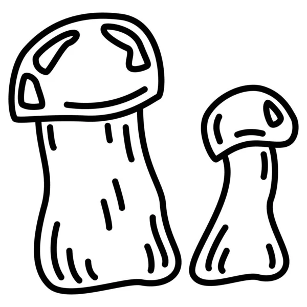 Two Mushrooms Thick Legs Edible Mushrooms Orange Birch Bolete Orange — стоковый вектор