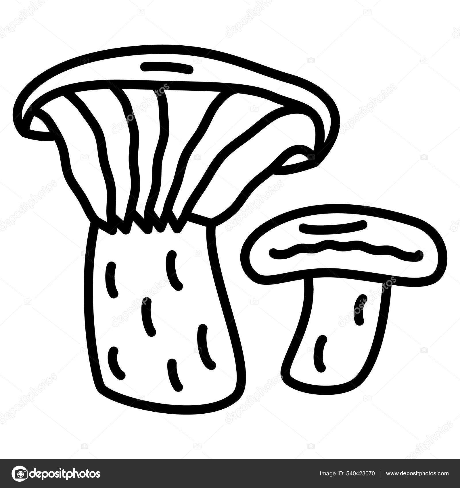 Saffron Milk Cap Jamur Jahe Mycelium Jamur Besar Dan Kecil Vektor Stok oleh ©Isuhi 540423070