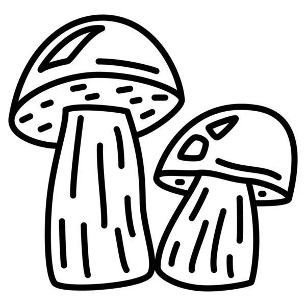 Brown Cap Boletus Mycelium Two Edible Wild Mushrooms Place Mushrooms — Image vectorielle