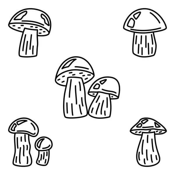 Brown Cap Boletus Edible Forest Mushroom Mushroom Picking Natural Food — Image vectorielle