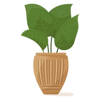 Ev ve ofis için saksı bitkisi. Geniş yapraklı, sık ve gür bir çalı. Dekorlu seramik saksı. Vektör simgesi, çizgi film, izole edilmiş