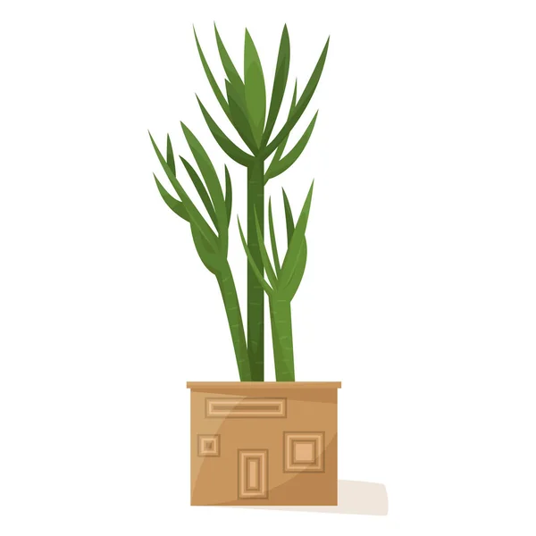Planta Vaso Para Casa Escritório Uma Planta Sala Suculenta Criando — Vetor de Stock