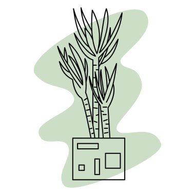 Saksı bitkisi. Kare bir tencerede sulu. Ev ve ofis için ev bitkisi. Vektör simgesi, yeşil soyut arkaplan, kontur, izole edilmiş