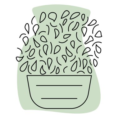 Saksı bitkisi. Küresel taç, küçük yapraklar. Ev ve ofis için ev bitkisi. Vektör simgesi, yeşil soyut arkaplan, kontur, izole edilmiş