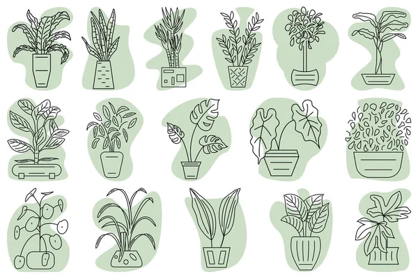 Potted Plant Houseplant Home Office Set Vector Icons Green Abstract — Stock Vector