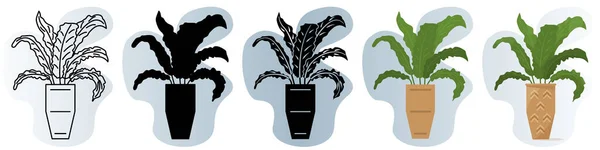 Домашнее Растение Горшке Большие Изогнутые Листья Фигурным Краем Векторная Иконка — стоковый вектор