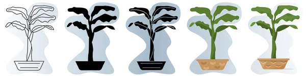 Домашнее Растение Горшке Тропическое Растение Горизонтальными Листьями Векторная Иконка Контур Векторная Графика