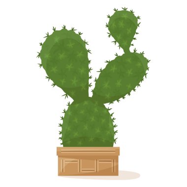 Düz bir vücudu ve dikenleri olan bir kaktüs. Çiçek saksısında sulu, ev, ofis, sera için saksı. Vektör simgesi, renkli çizgi film, karmaşık düz, izole edilmiş